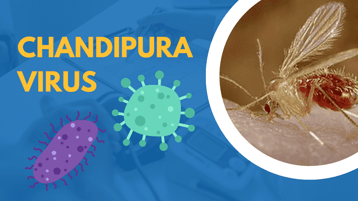 Navigating the Threat of Chandipura Virus