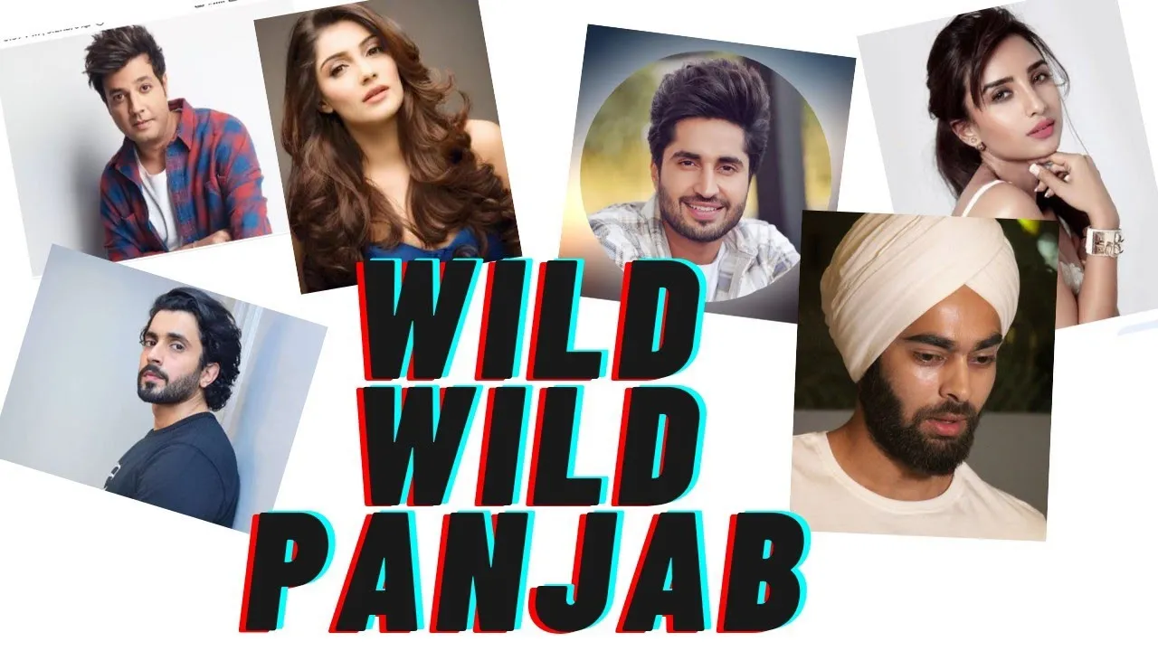 Wild Wild Punjab