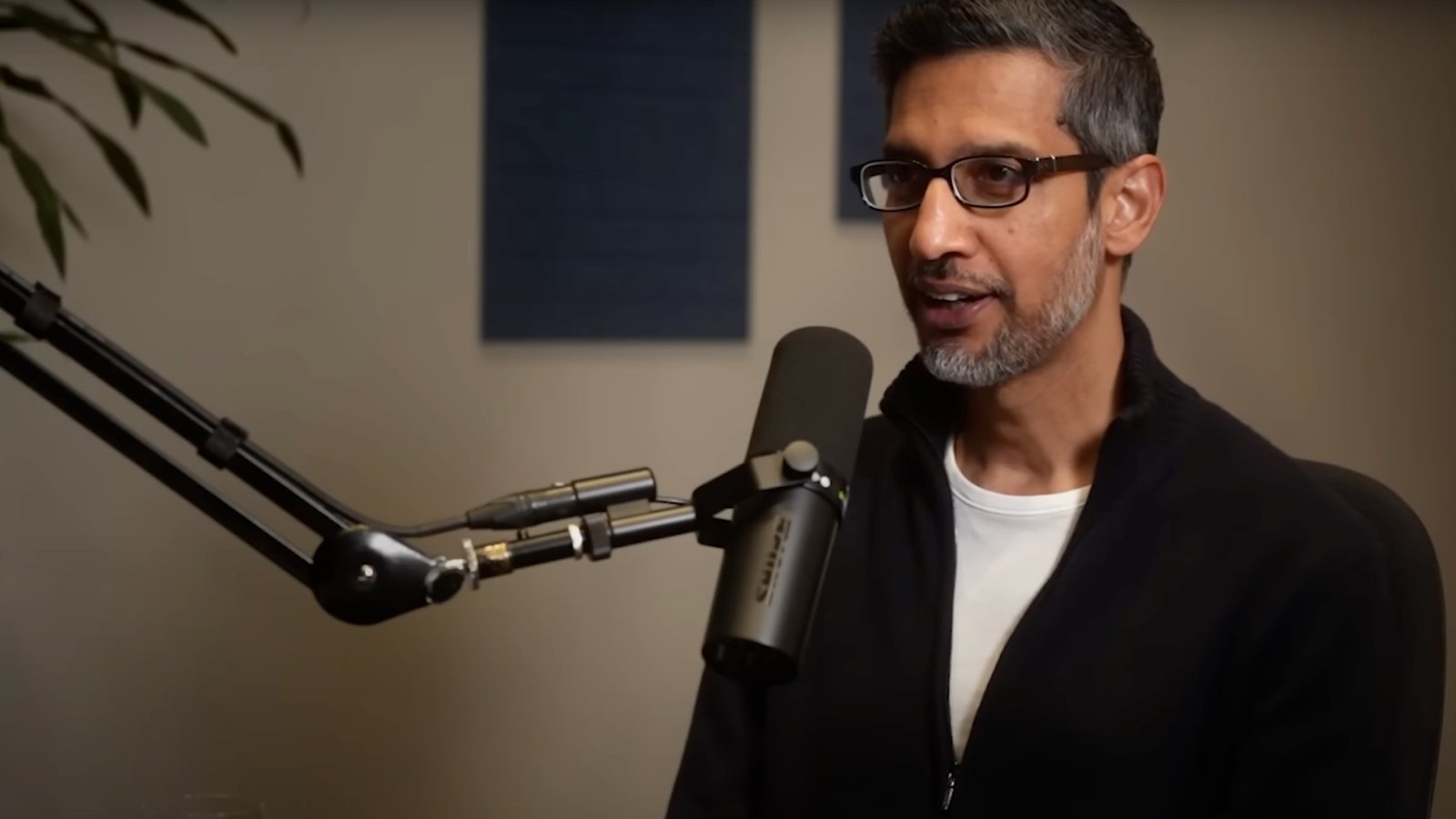 Sundar Pichai AI Insights